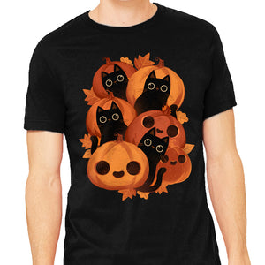 Pumpkins And Black Cats
