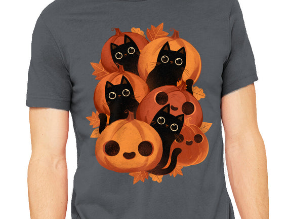 Pumpkins And Black Cats
