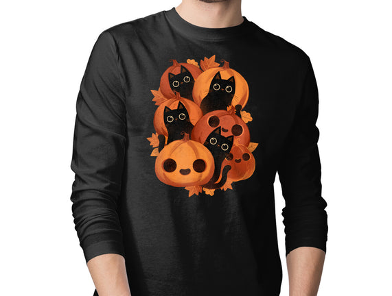Pumpkins And Black Cats