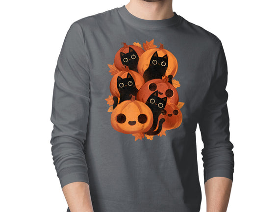 Pumpkins And Black Cats