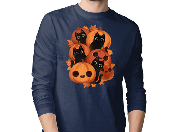 Pumpkins And Black Cats