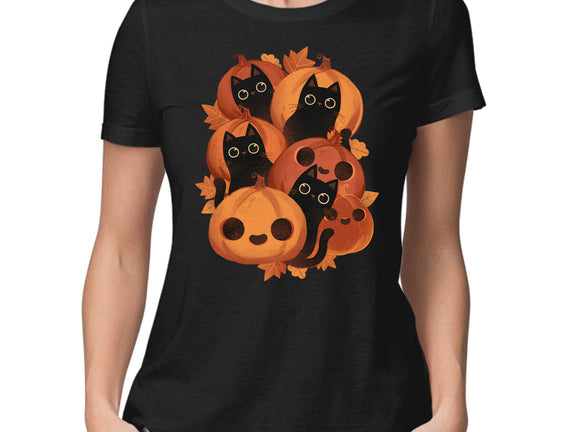 Pumpkins And Black Cats