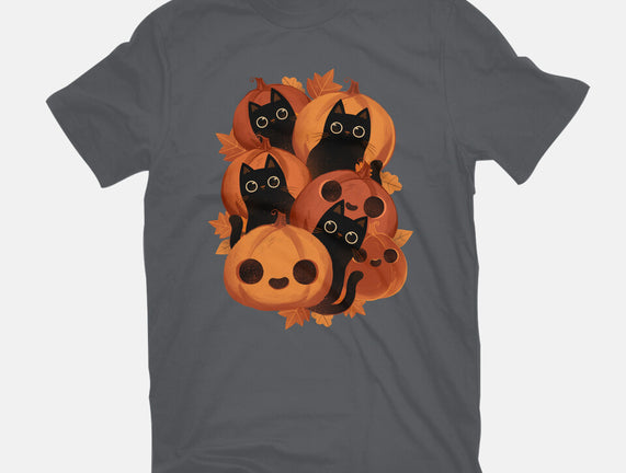 Pumpkins And Black Cats