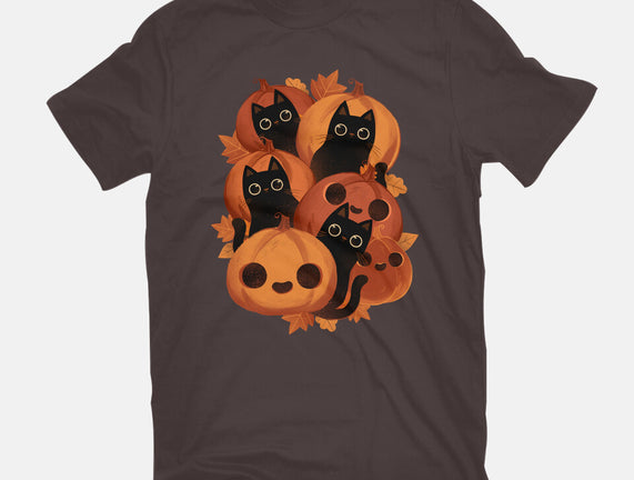 Pumpkins And Black Cats