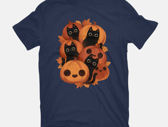 Pumpkins And Black Cats