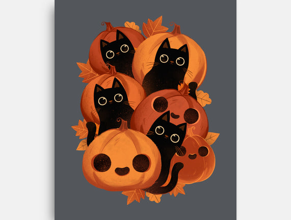 Pumpkins And Black Cats