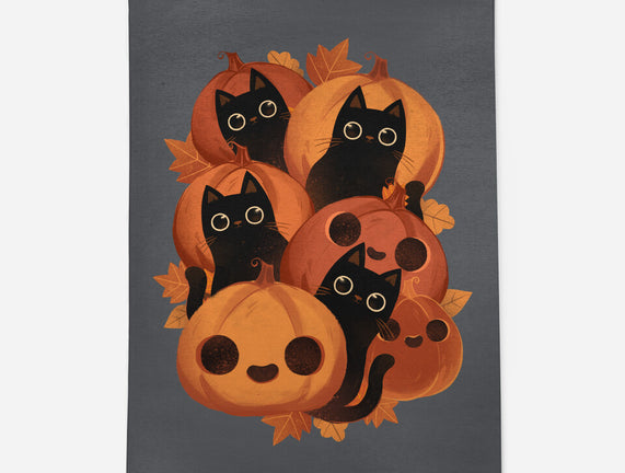 Pumpkins And Black Cats