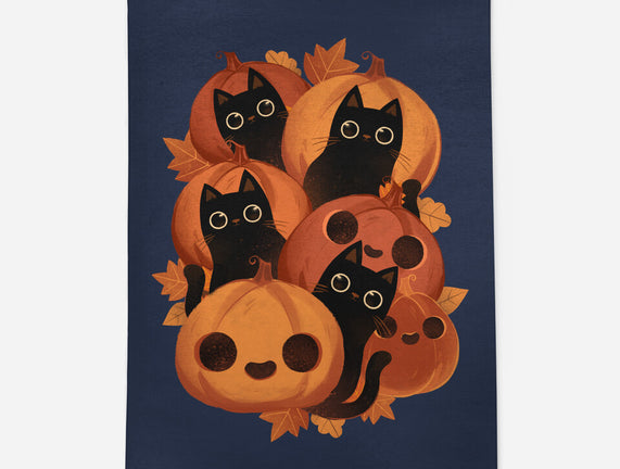 Pumpkins And Black Cats