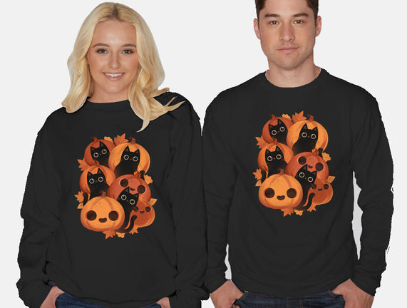 Pumpkins And Black Cats
