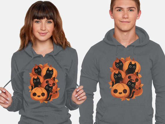 Pumpkins And Black Cats