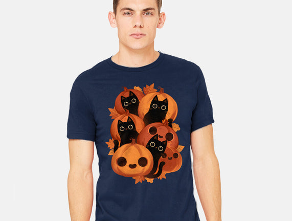 Pumpkins And Black Cats