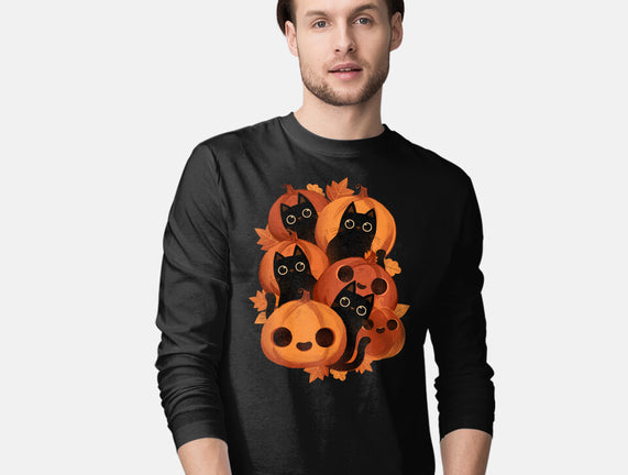 Pumpkins And Black Cats