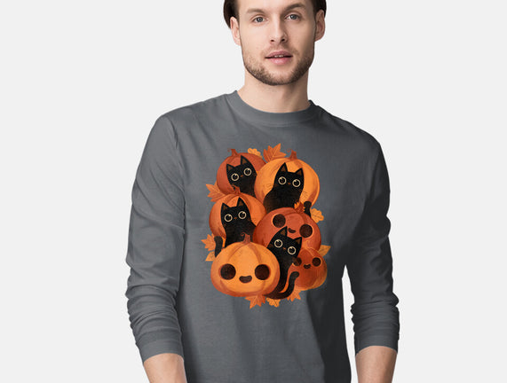 Pumpkins And Black Cats