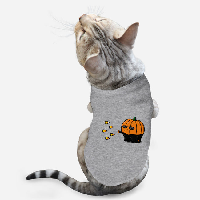 The Chosen Pumpkin-cat basic pet tank-Raffiti