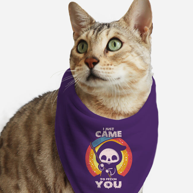I Came To Fetch You-cat bandana pet collar-turborat14