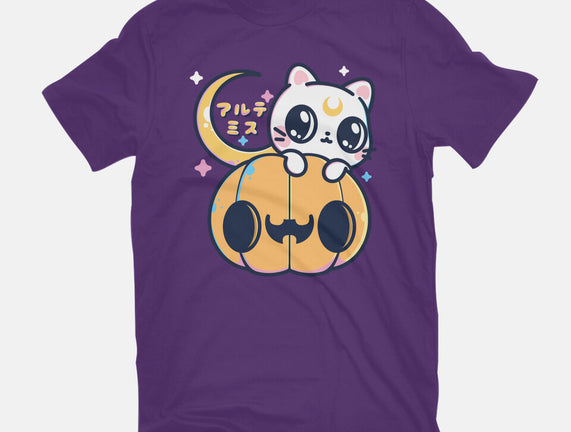 Artemis Halloween Cat