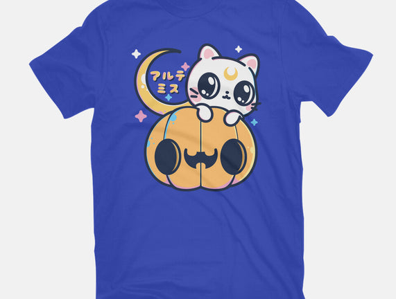 Artemis Halloween Cat