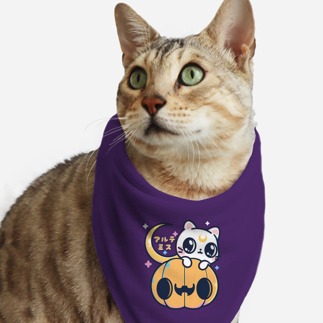 Artemis Halloween Cat-cat bandana pet collar-maruart