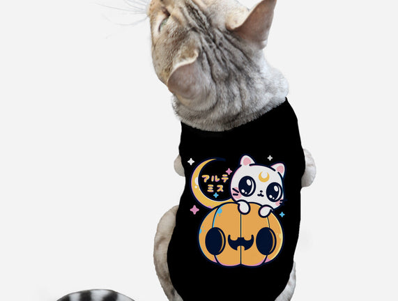 Artemis Halloween Cat