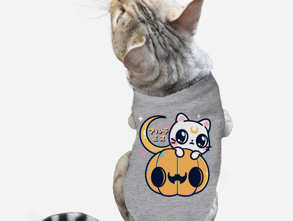 Artemis Halloween Cat