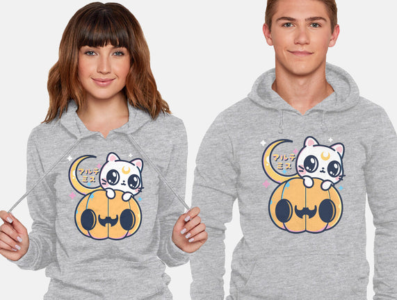 Artemis Halloween Cat