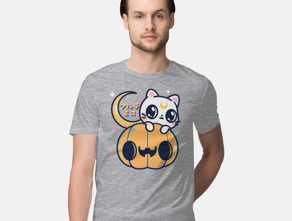 Artemis Halloween Cat