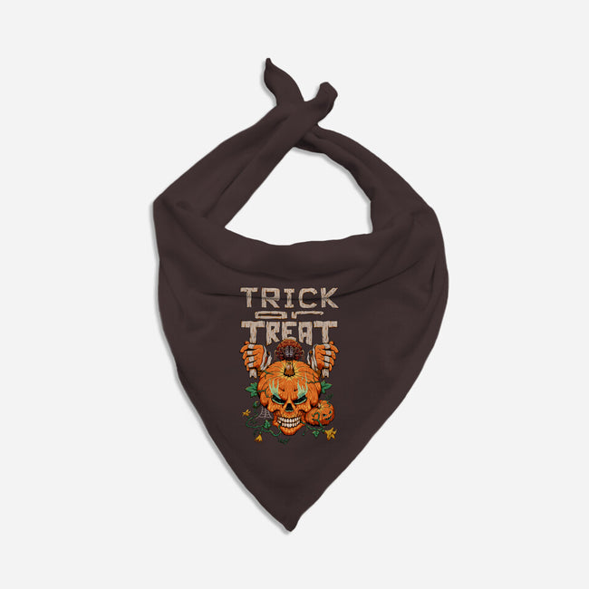 Trick or Treat Pumpkin Skull-dog bandana pet collar-wahyuzi