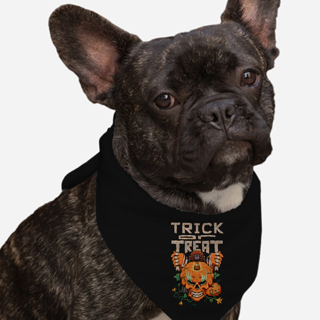 Trick or Treat Pumpkin Skull-dog bandana pet collar-wahyuzi