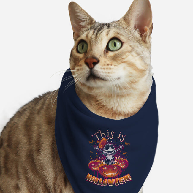 Halloween Surprise-cat bandana pet collar-Getsousa!