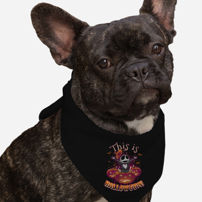 Halloween Surprise-dog bandana pet collar-Getsousa!