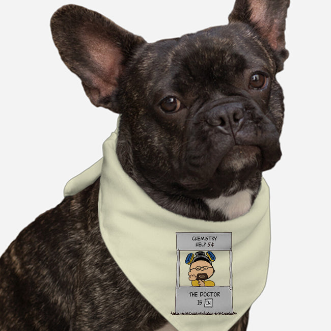 Chemistry Help-dog bandana pet collar-Melonseta
