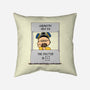 Chemistry Help-none removable cover w insert throw pillow-Melonseta