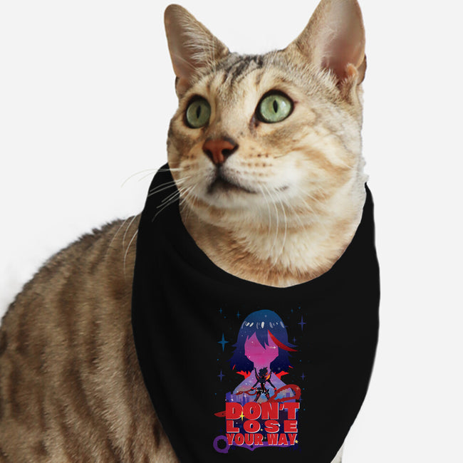 Don't Lose Your Way-cat bandana pet collar-SwensonaDesigns