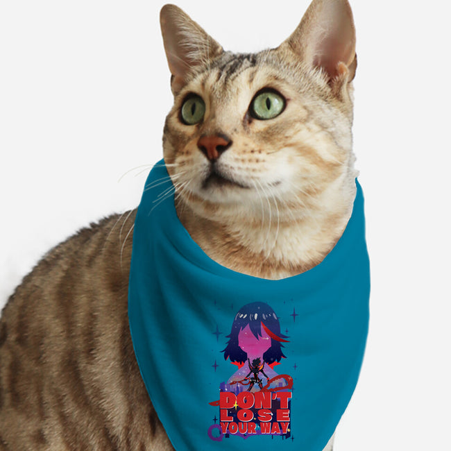 Don't Lose Your Way-cat bandana pet collar-SwensonaDesigns