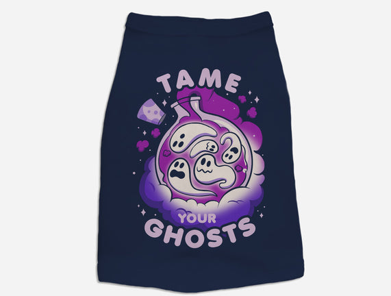 Tame Your Ghosts