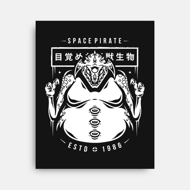 Space Pirate-none stretched canvas-Alundrart
