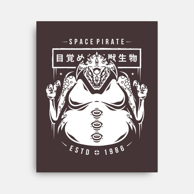 Space Pirate-none stretched canvas-Alundrart
