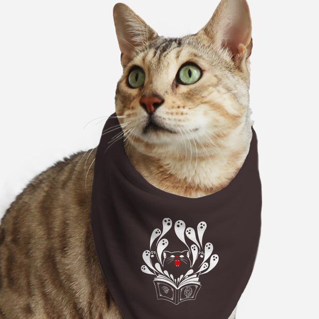 Magic Black Cat-cat bandana pet collar-marsdkart