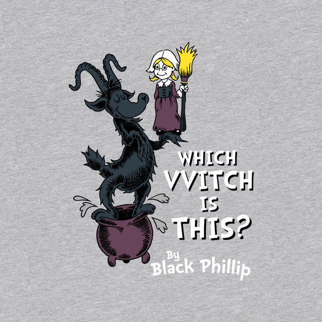Which VVitch Is This?-womens v-neck tee-Nemons