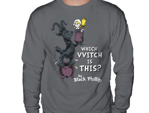 Which VVitch Is This?