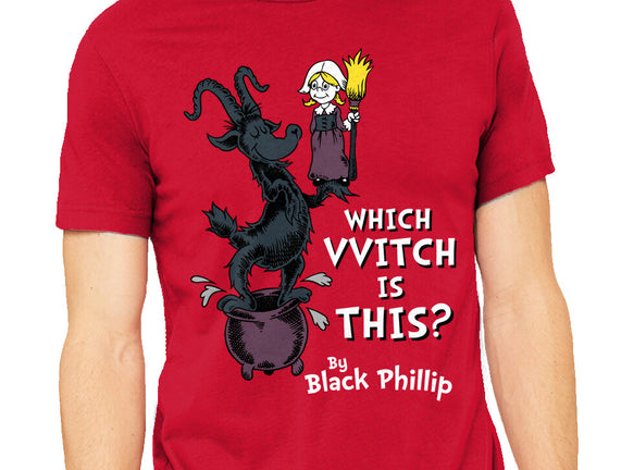 Which VVitch Is This?