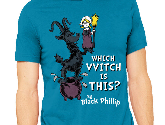 Which VVitch Is This?