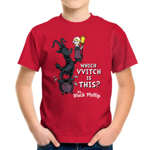 Which VVitch Is This?