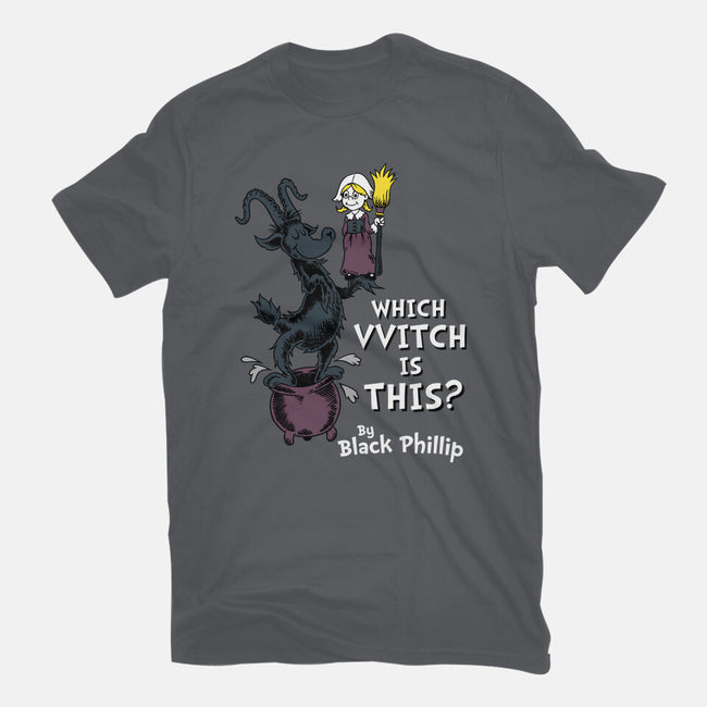 Which VVitch Is This?-womens basic tee-Nemons