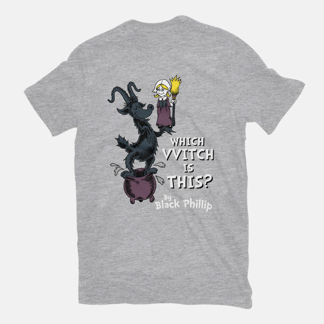 Which VVitch Is This?-womens fitted tee-Nemons