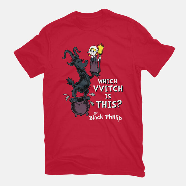 Which VVitch Is This?-mens heavyweight tee-Nemons