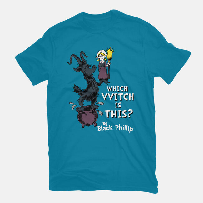 Which VVitch Is This?-womens fitted tee-Nemons