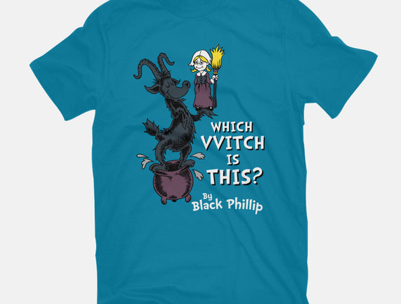 Which VVitch Is This?