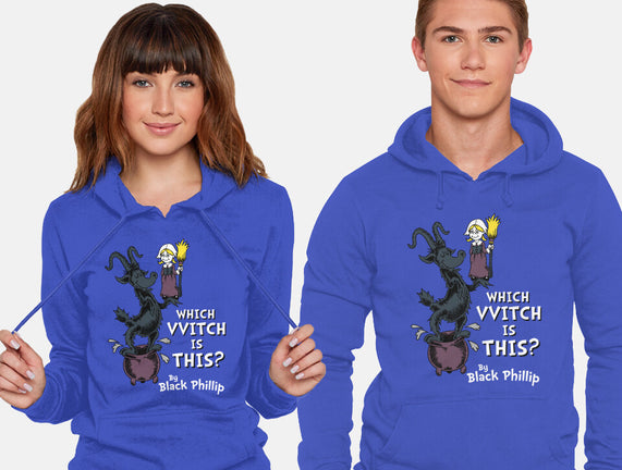 Which VVitch Is This?