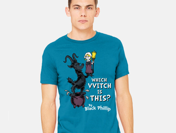 Which VVitch Is This?
